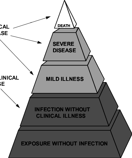 Last’s iceberg model of disease drawn as a pyramid, from Pfeiffer’s Veterinary Epidemiology (2002)